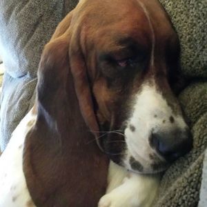 Meet your Posher, Jane